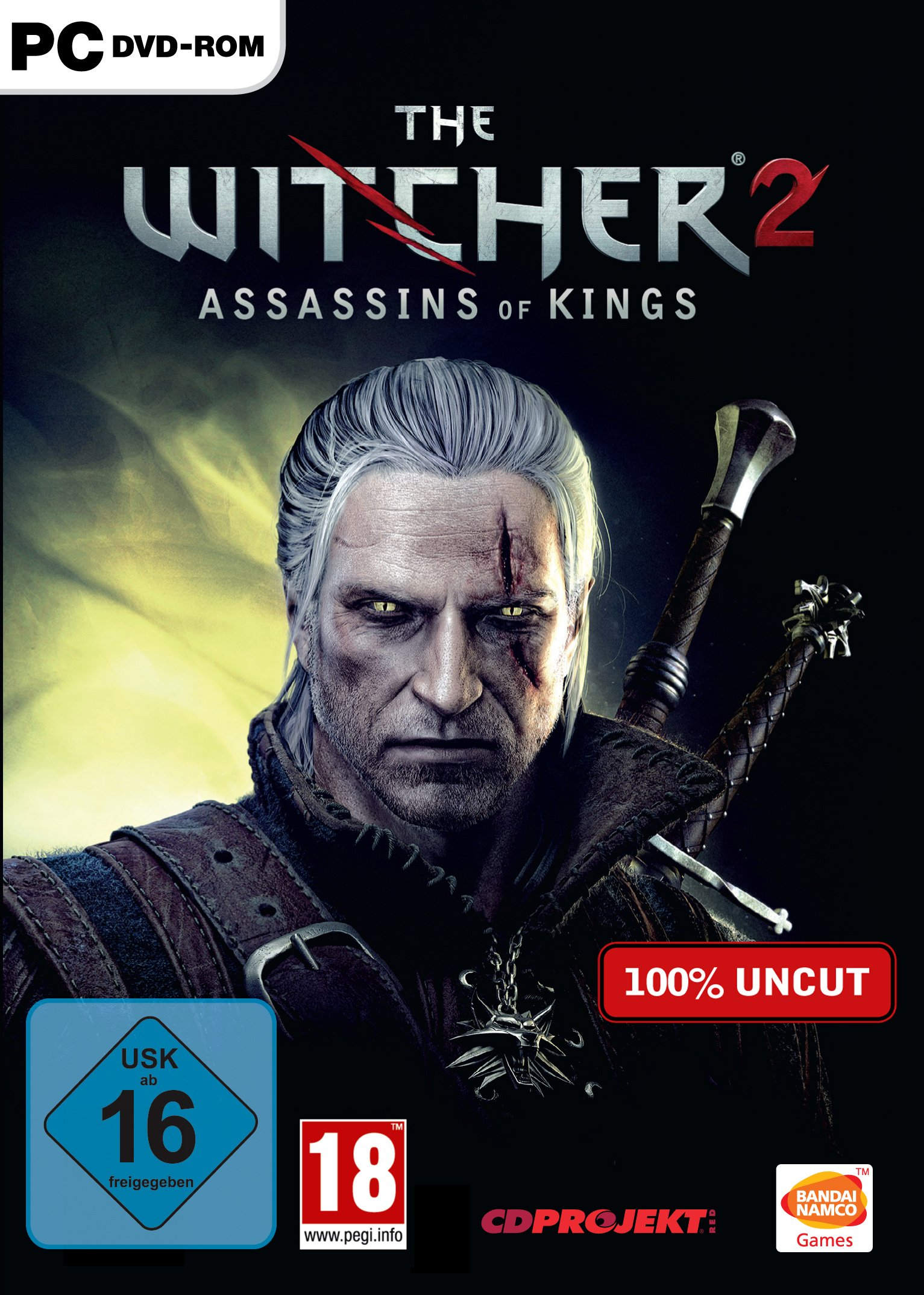 Portada oficial de The Witcher 2: Assassins of Kings con Geralt empuñando su espada